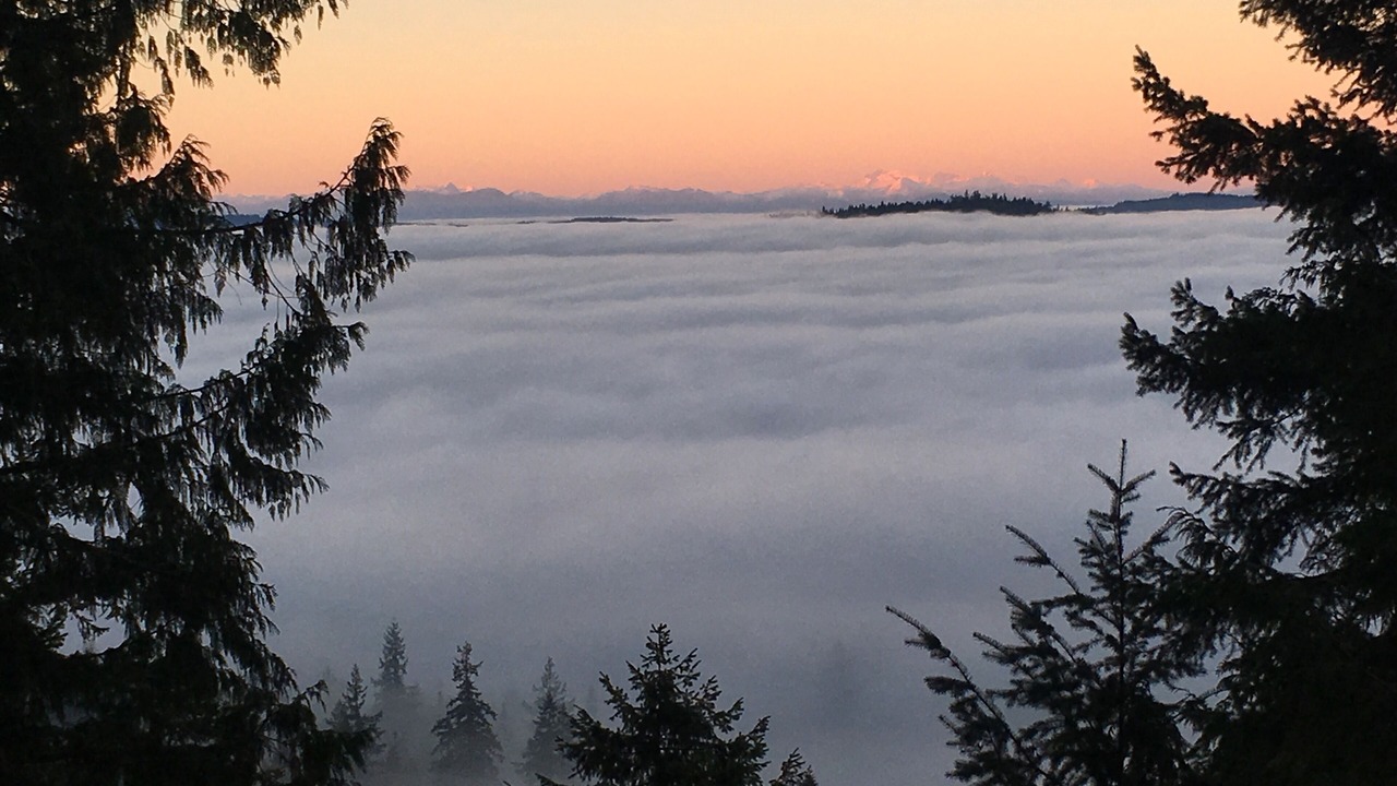 Photo of Others in Salt Spring Island