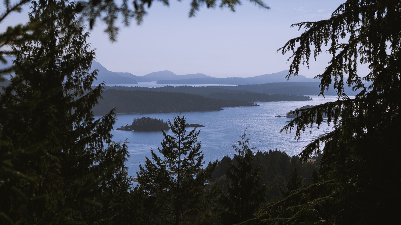 Photo of Others in Salt Spring Island
