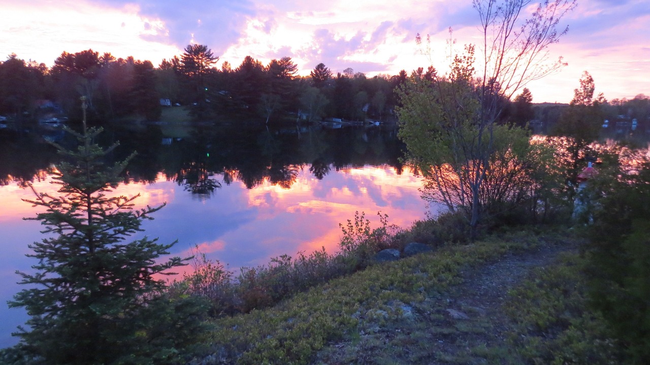 Photo of Outdoor in Scotia