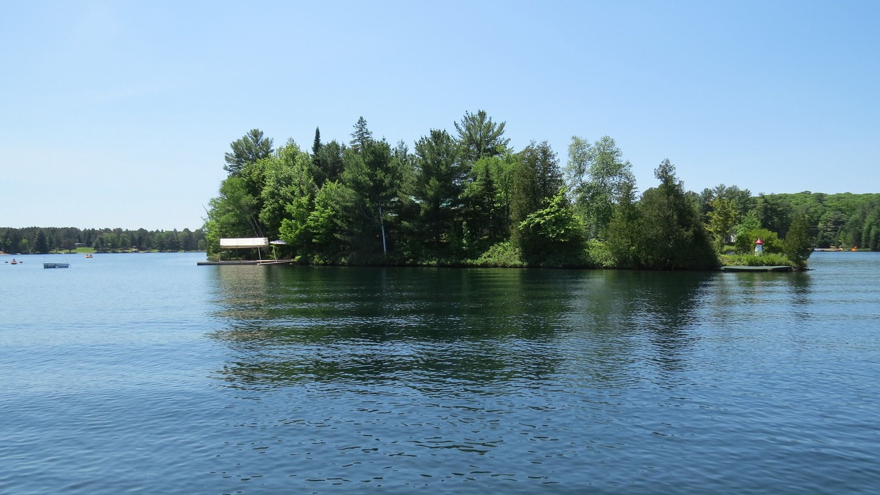 Photo of Others in Scotia
