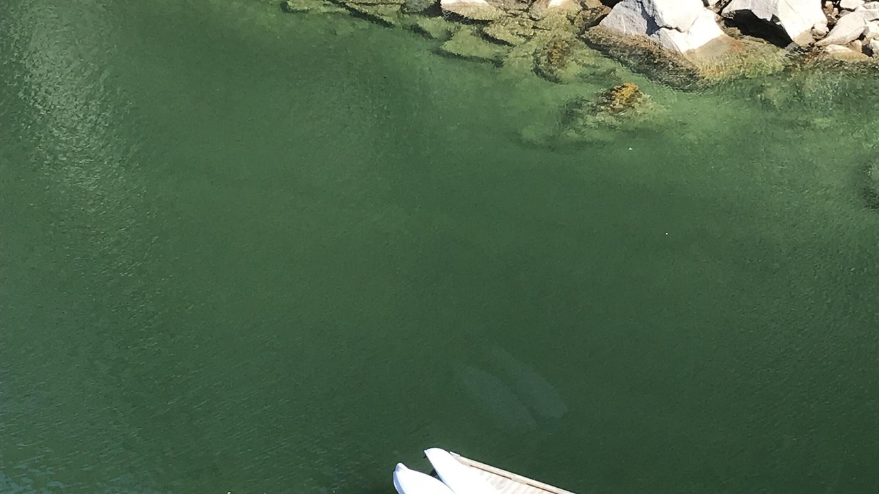 Photo of Outdoor in Halfmoon Bay