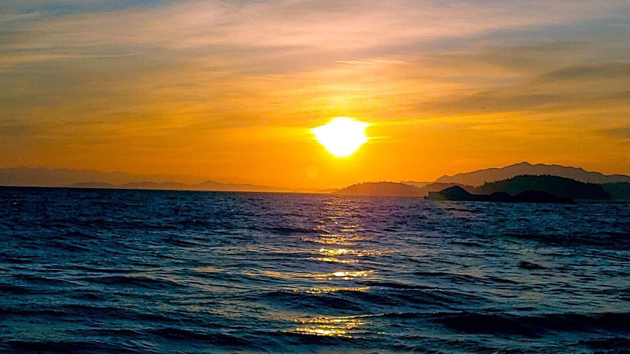 Photo of Others in Davis Bay