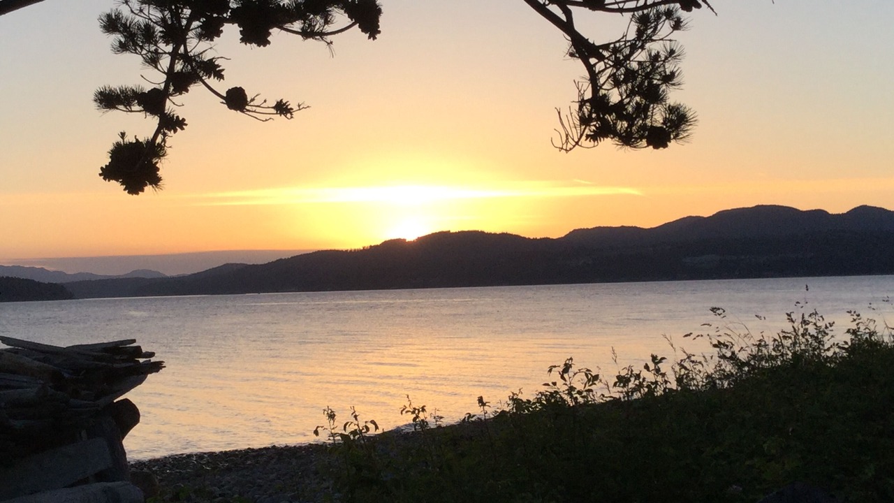 Photo of Others in Davis Bay
