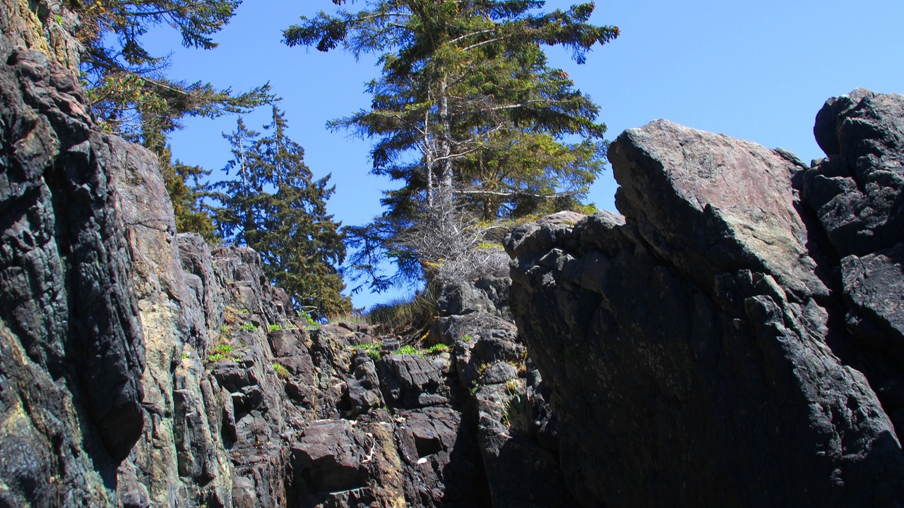 Photo of Others in Otter Point