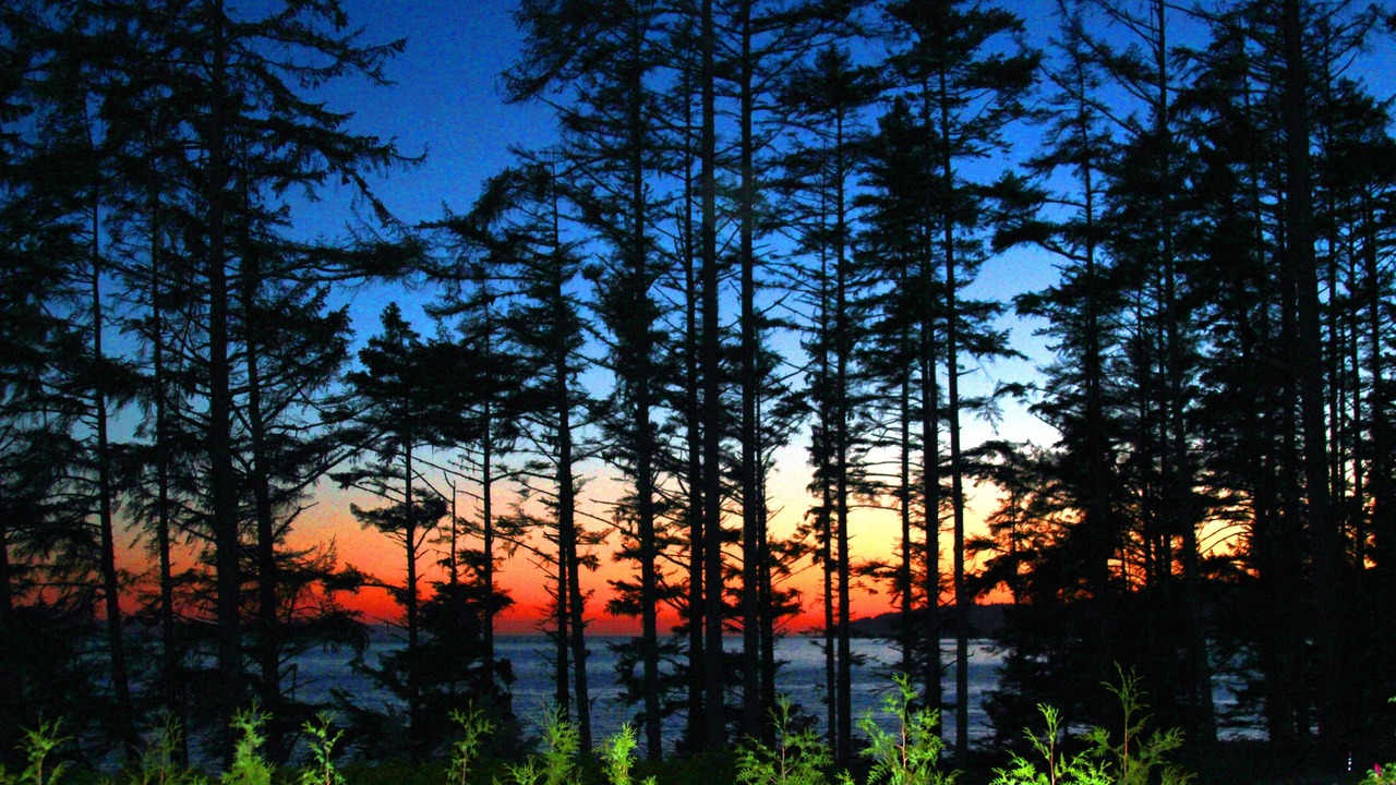 Photo of Others in Otter Point