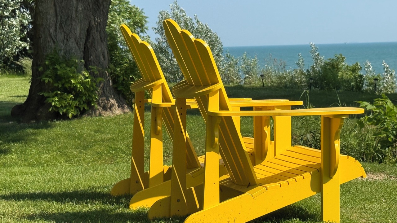 Photo of Outdoor in Colchester