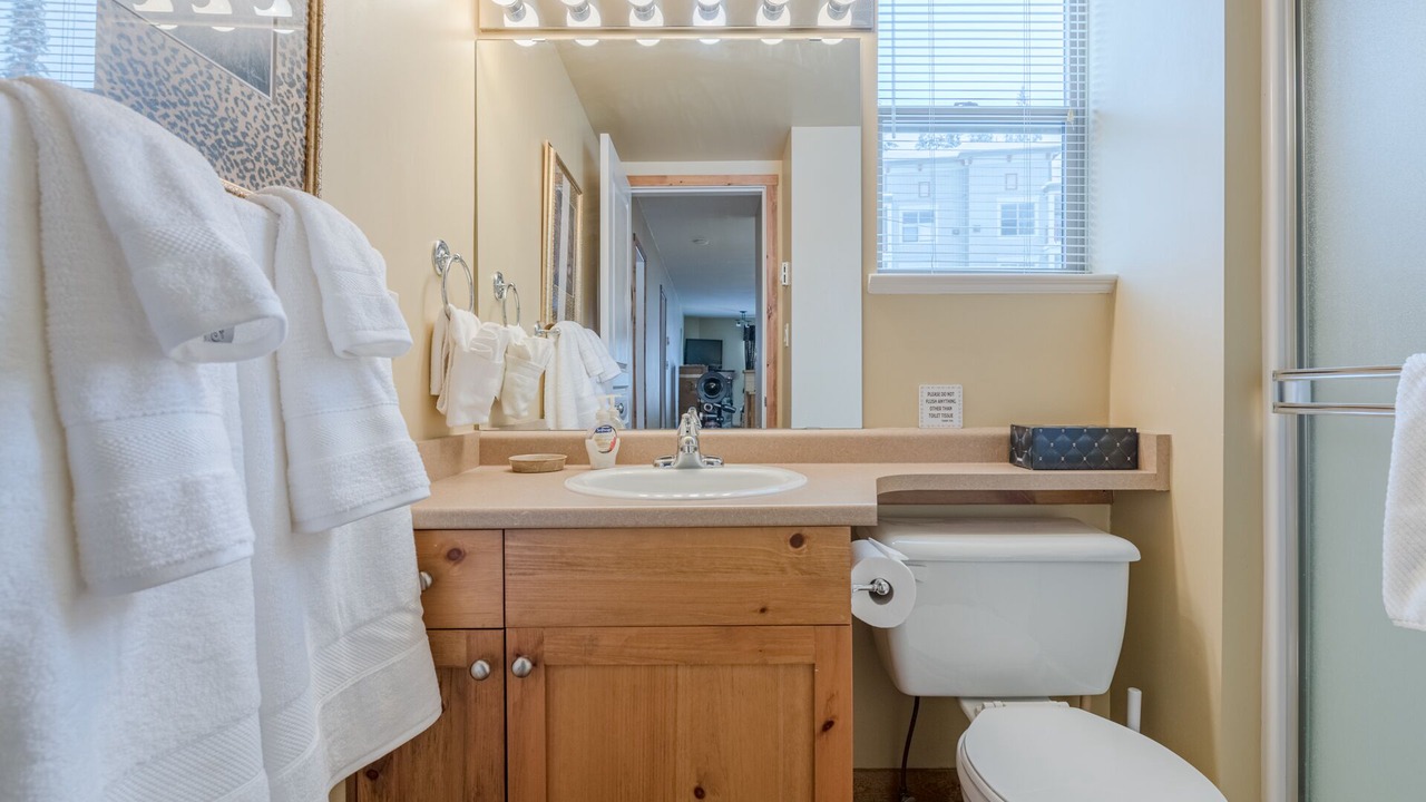 Photo of Bathroom in Silver Star Mountain