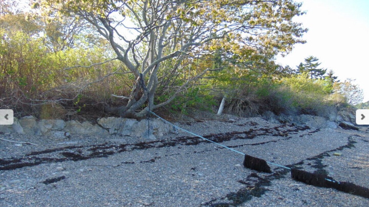 Photo of Others in Lords Cove