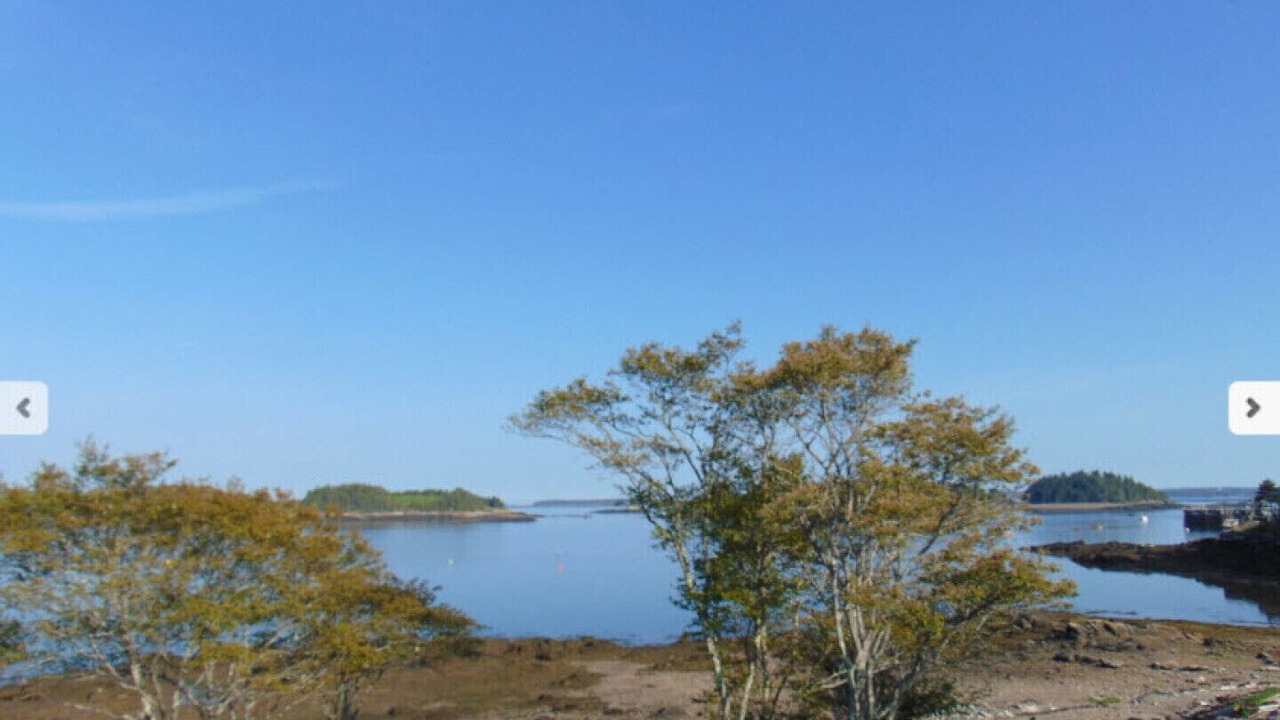 Photo of Others in Lords Cove