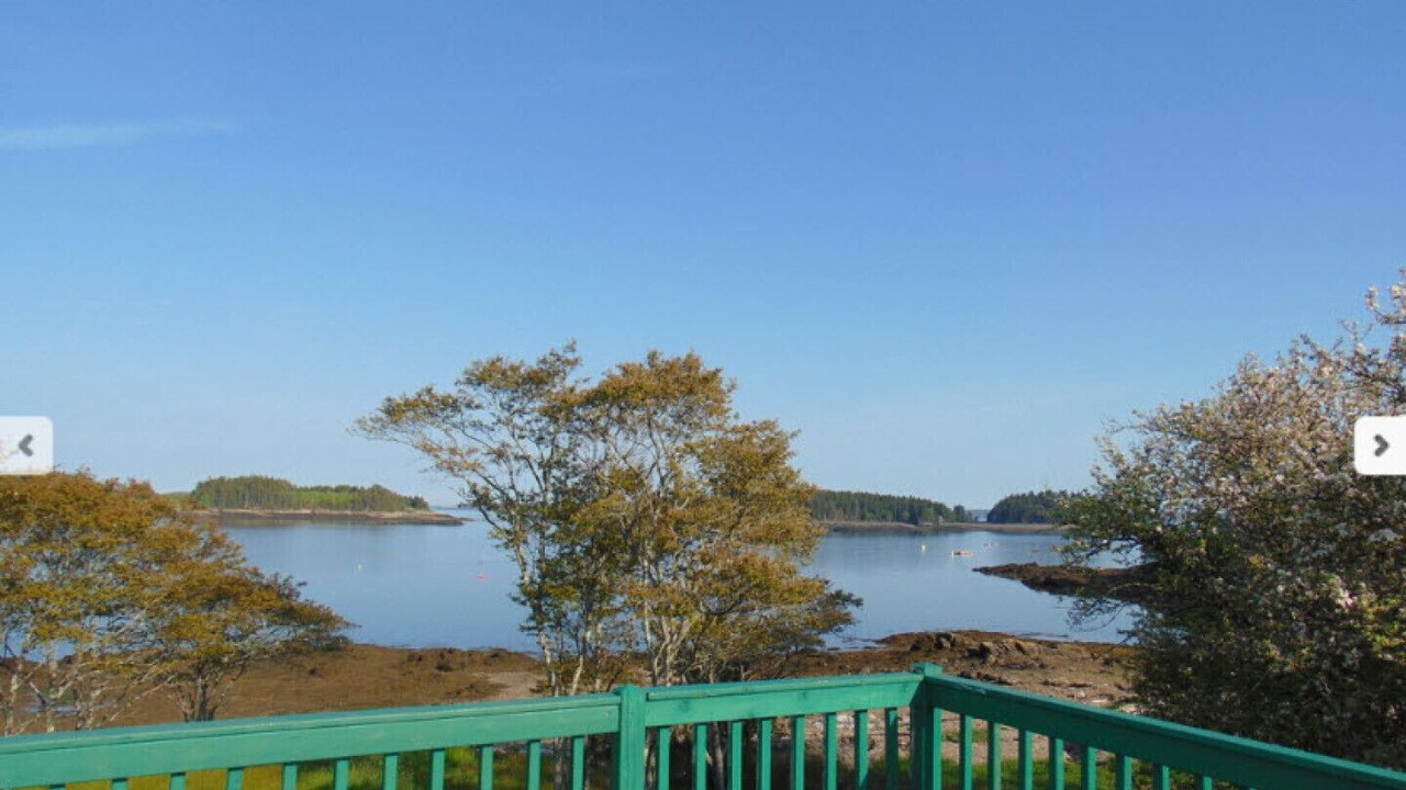 Photo of Others in Lords Cove
