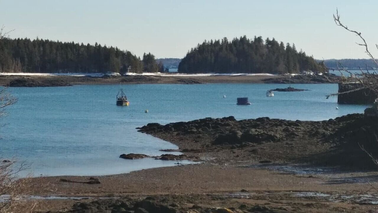 Photo of Others in Lords Cove