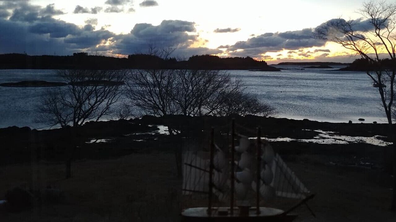 Photo of Others in Lords Cove