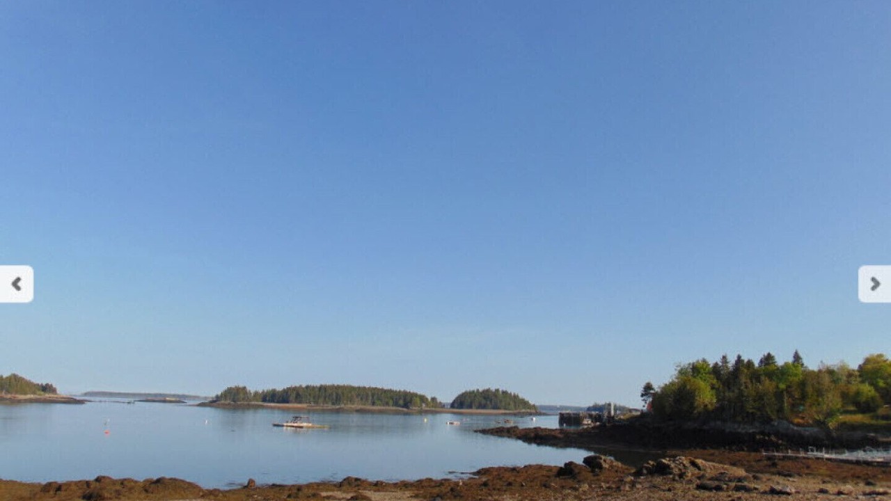 Photo of Others in Lords Cove