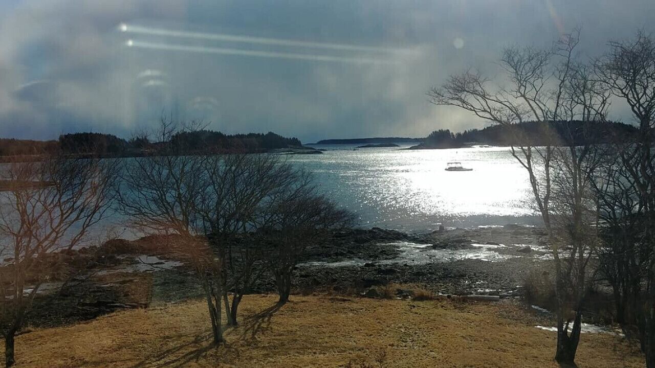 Photo of Others in Lords Cove