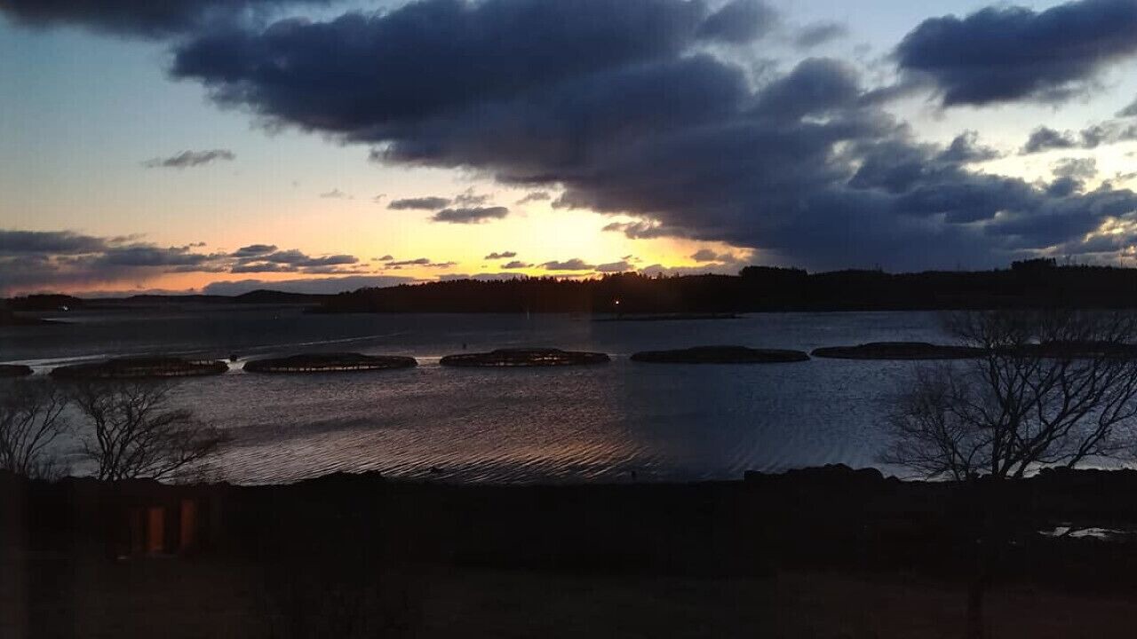 Photo of Others in Lords Cove