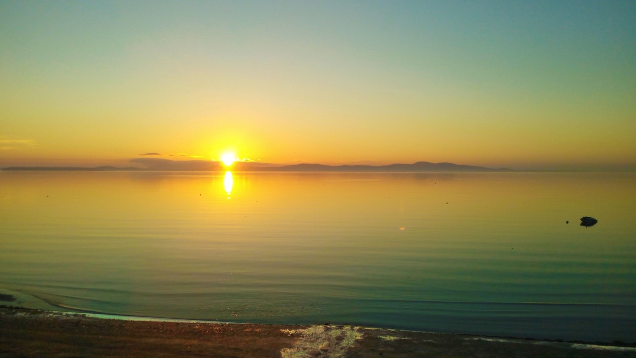 Photo of Others in Cordova Bay