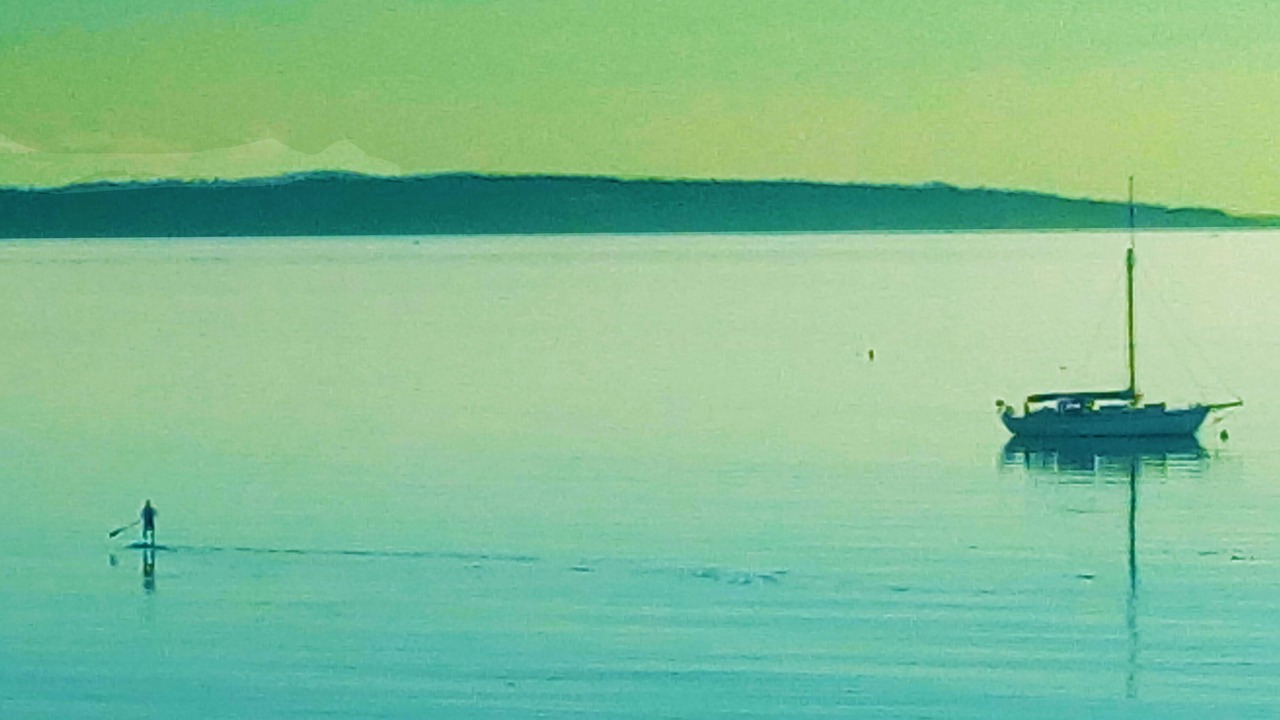 Photo of Others in Cordova Bay