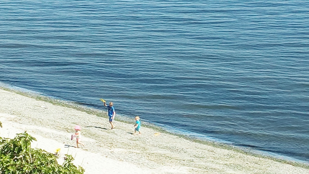 Photo of Others in Cordova Bay