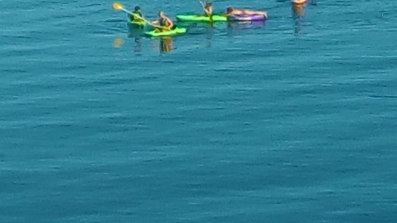 Photo of Others in Cordova Bay