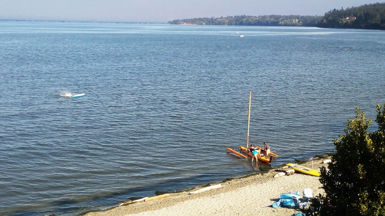 Photo of Others in Cordova Bay