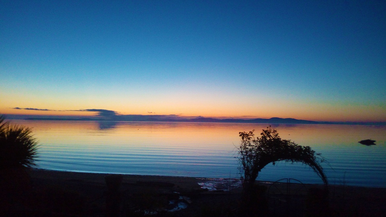 Photo of Others in Cordova Bay
