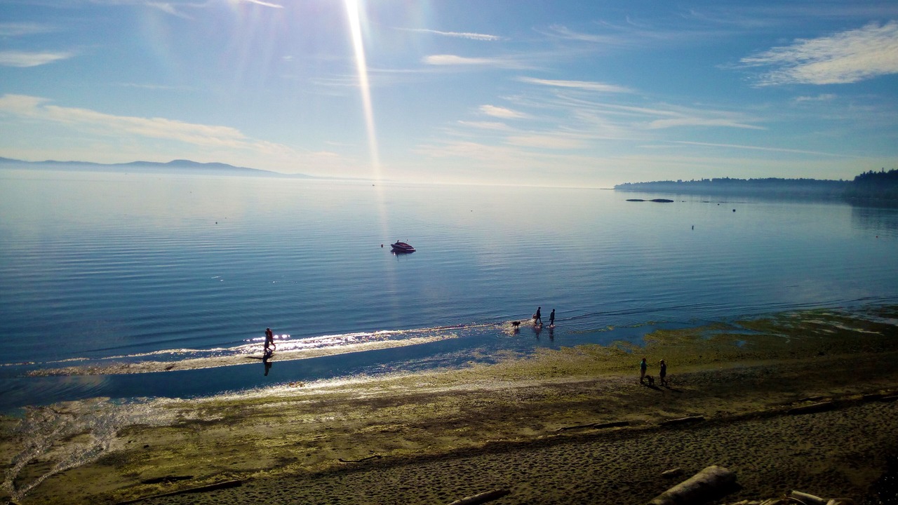 Photo of Others in Cordova Bay
