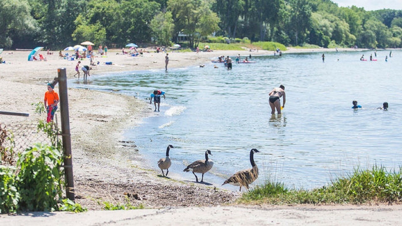Photo of Others in Port Weller West