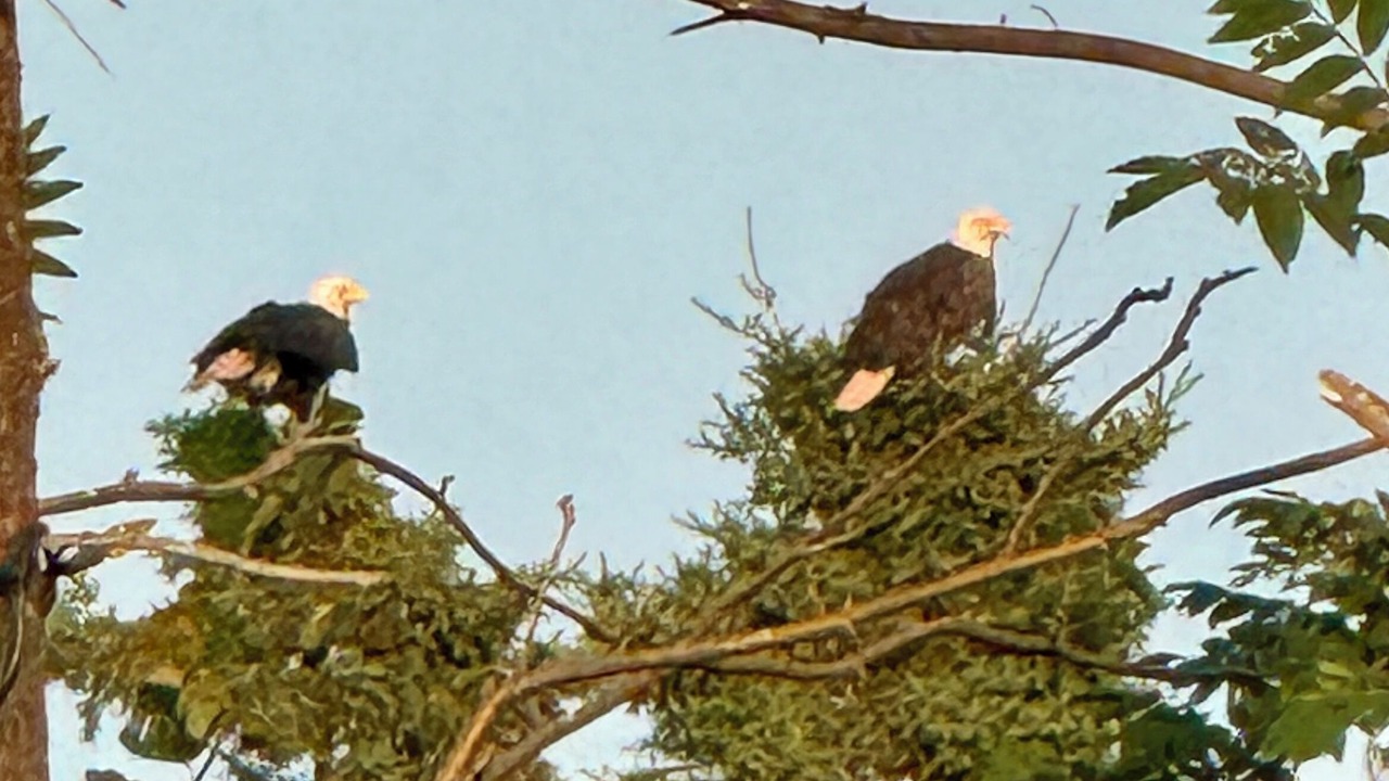 Photo of Others in Cornwall