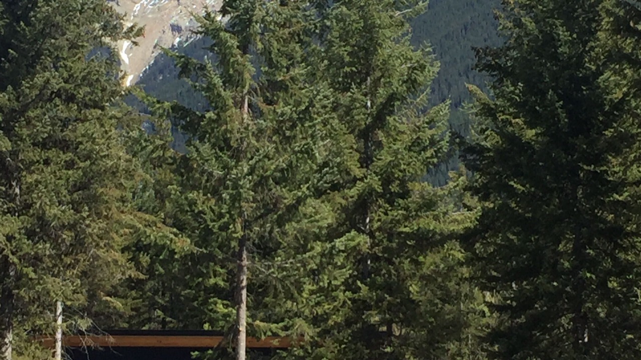 Photo of Others in Golden