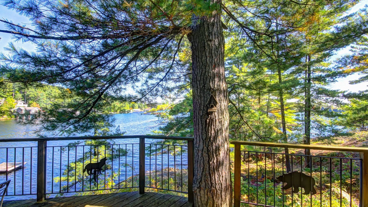 Photo of Outdoor in Muskoka Lakes