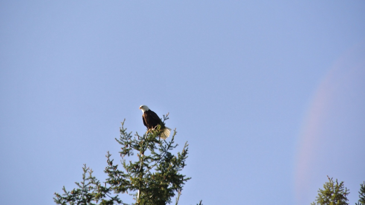 Photo of Outdoor in Egmont