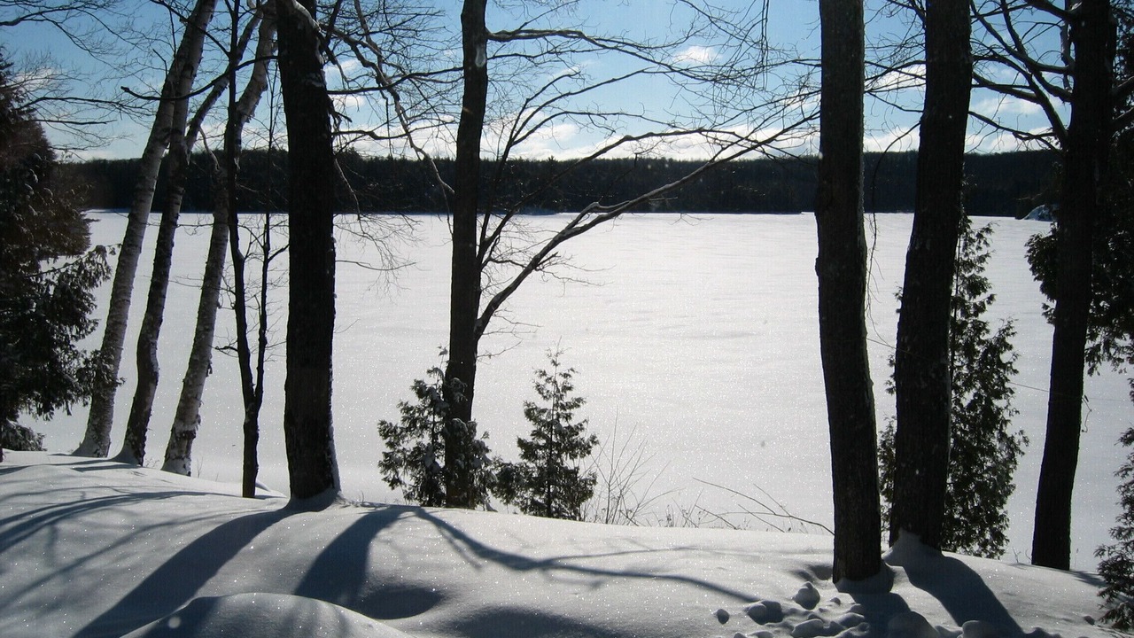 Photo of Outdoor in Highlands East