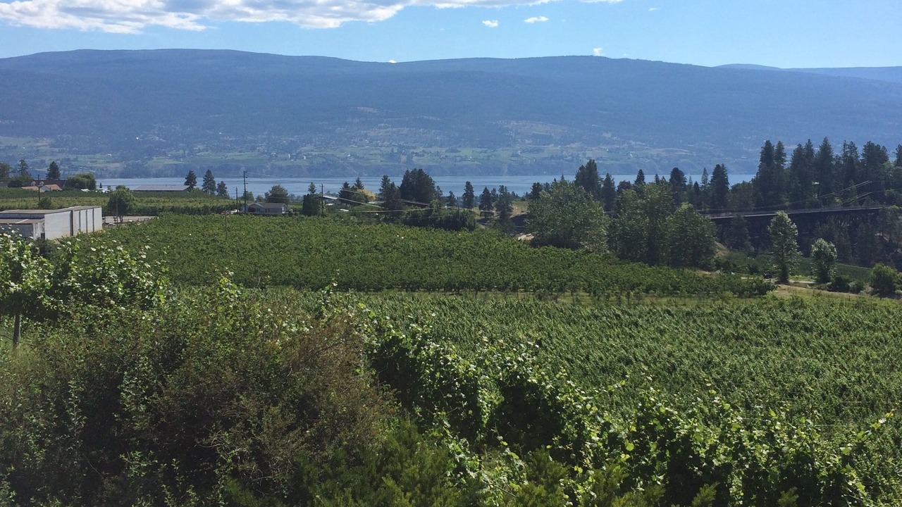 Photo of Others in Okanagan-Similkameen