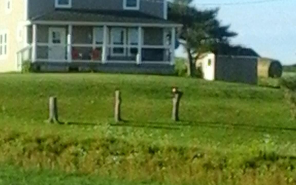 Photo of Others in Burlington