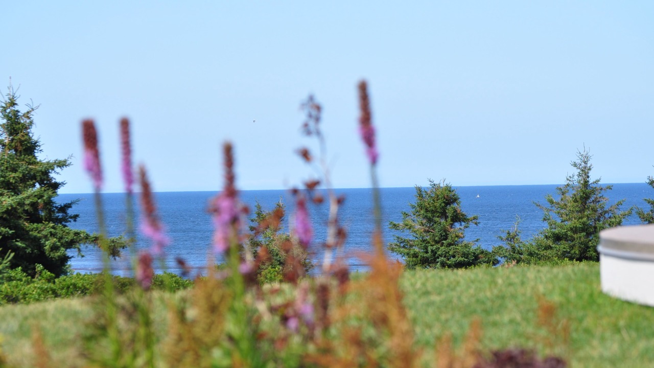Photo of Outdoor in North Rustico