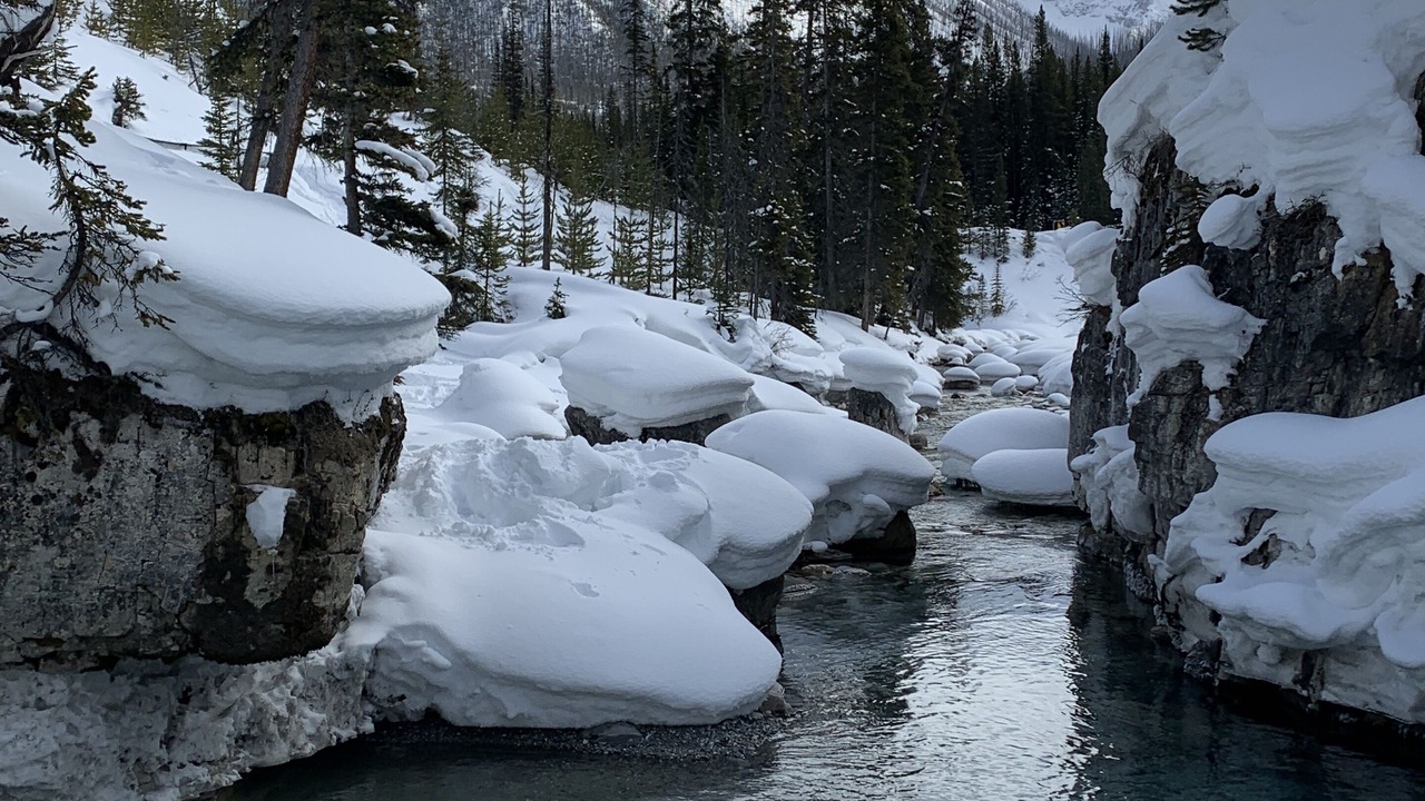 Photo of Others in East Kootenay