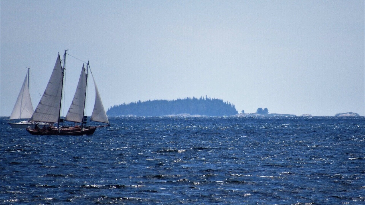 Photo of Others in Black Point