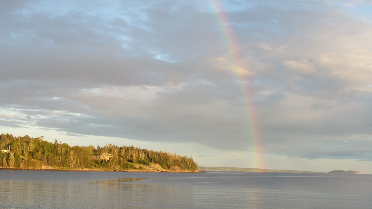 Photo of Others in Black Point