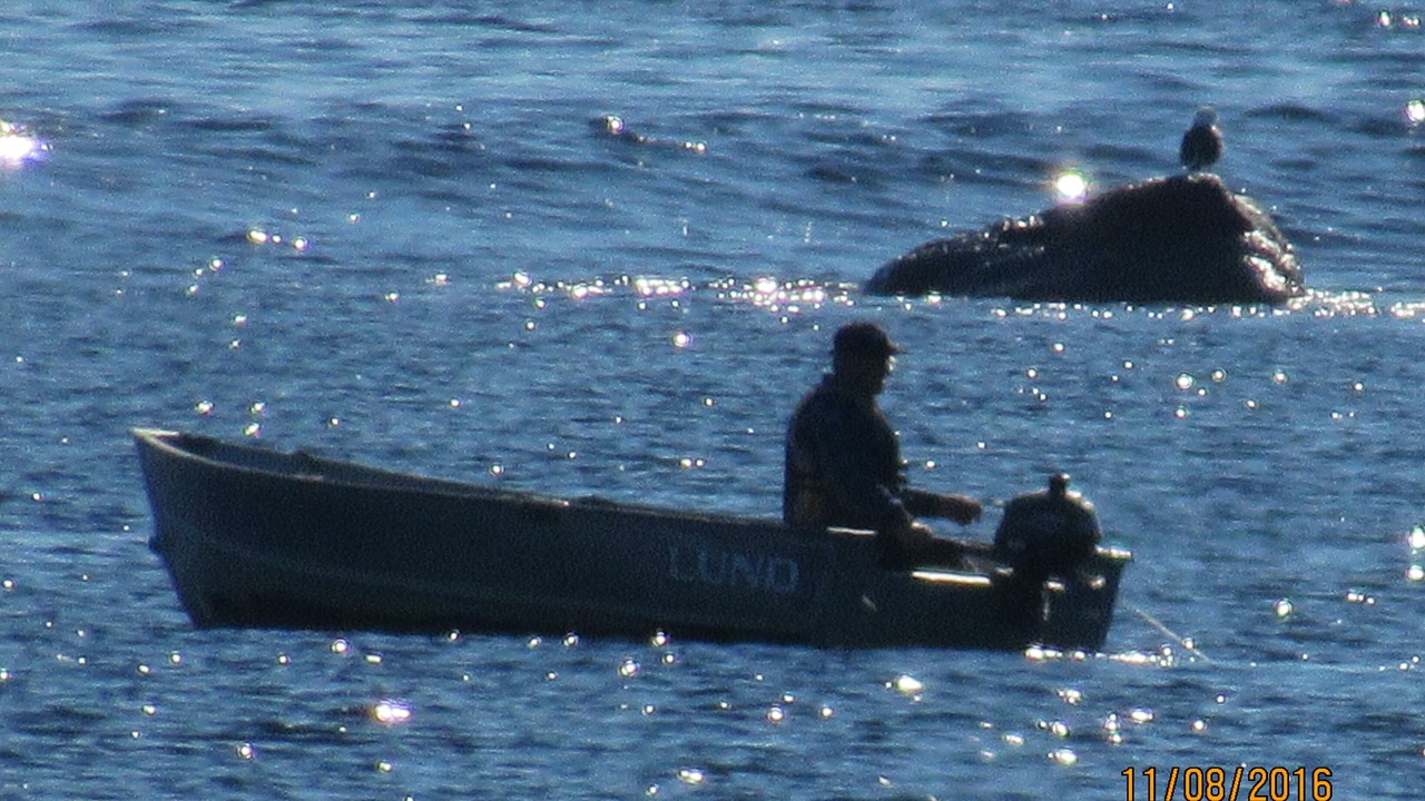 Photo of Others in Black Point
