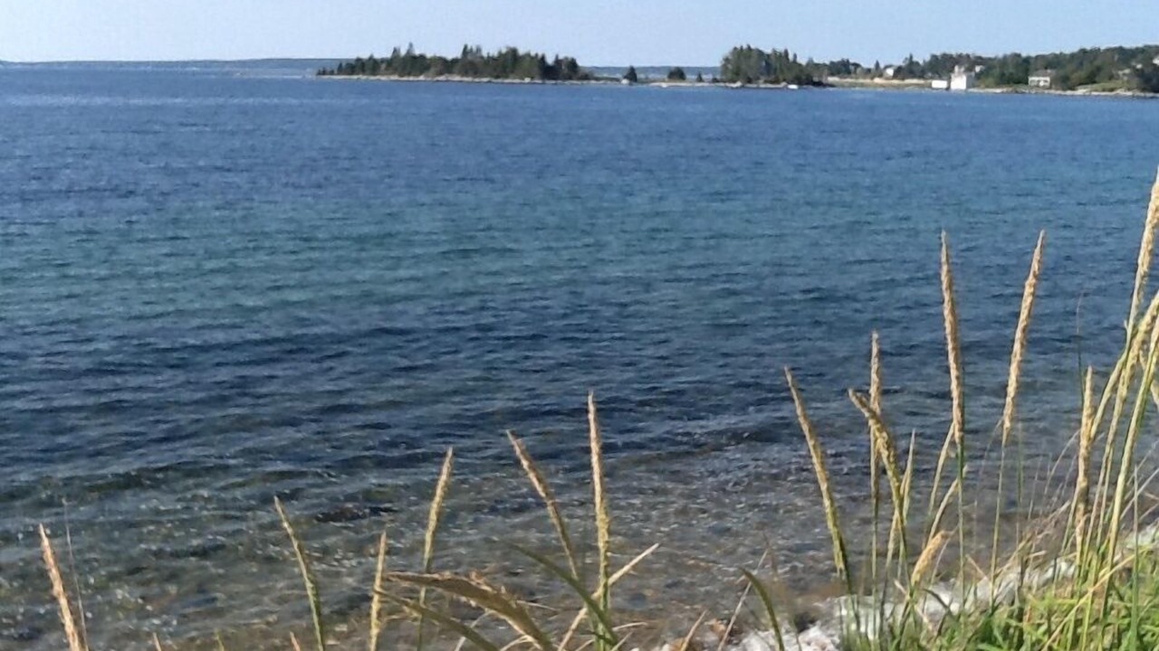 Photo of Others in Black Point