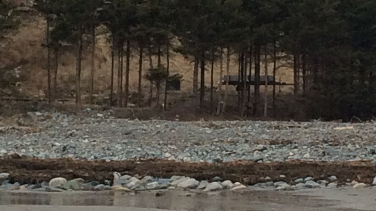 Photo of Outdoor in Clam Bay