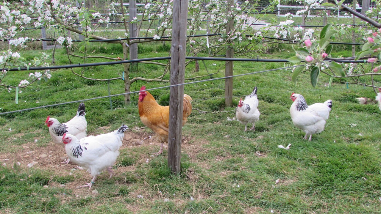 Photo of Outdoor in Brew Bay