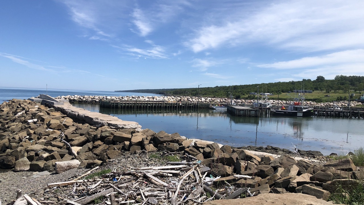 Photo of Others in Parkers Cove
