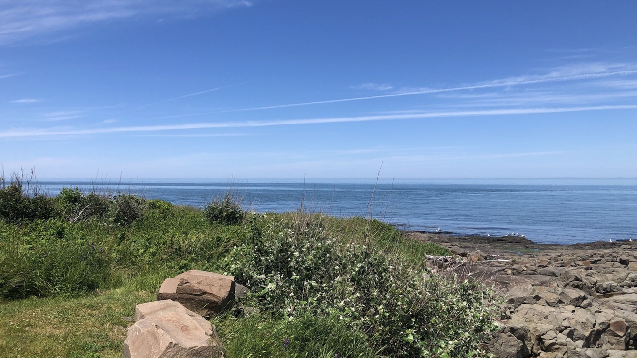 Photo of Others in Parkers Cove