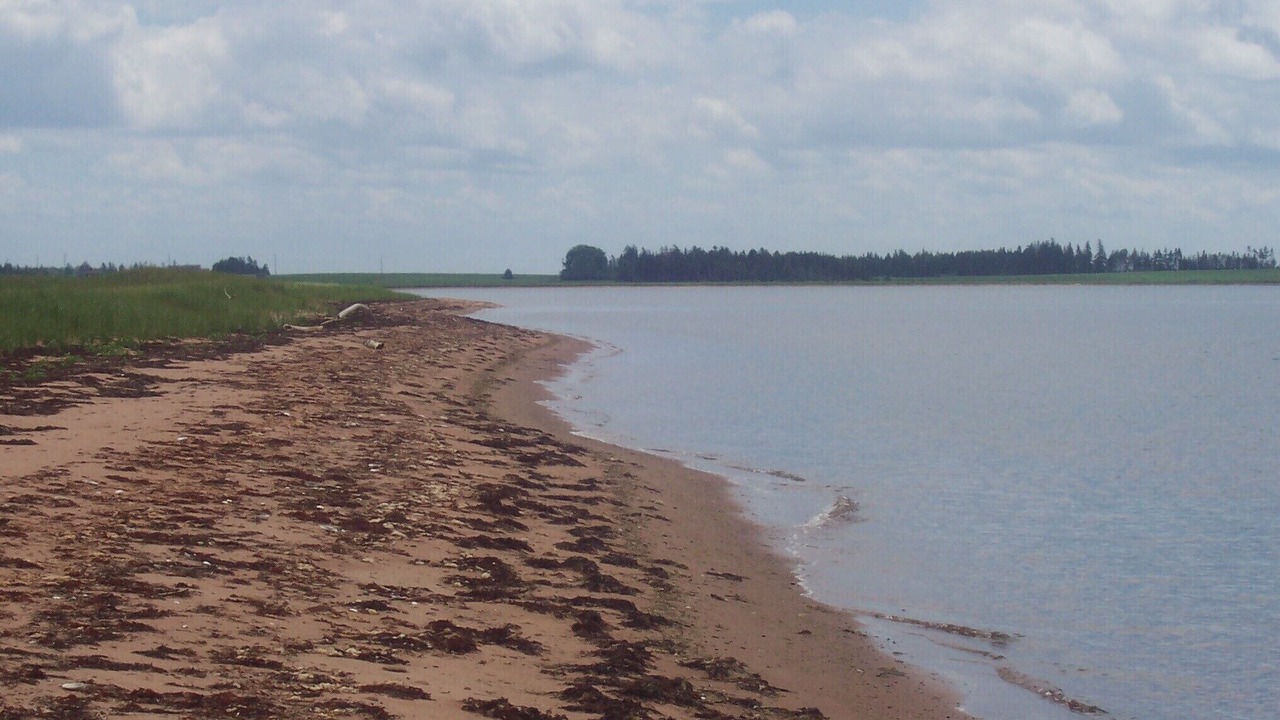 Photo of Others in Belle River