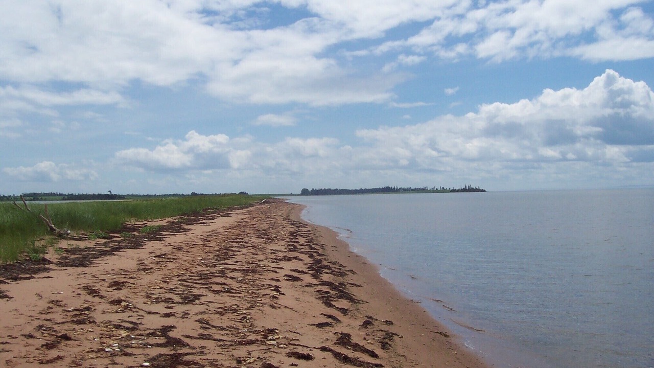 Photo of Others in Belle River