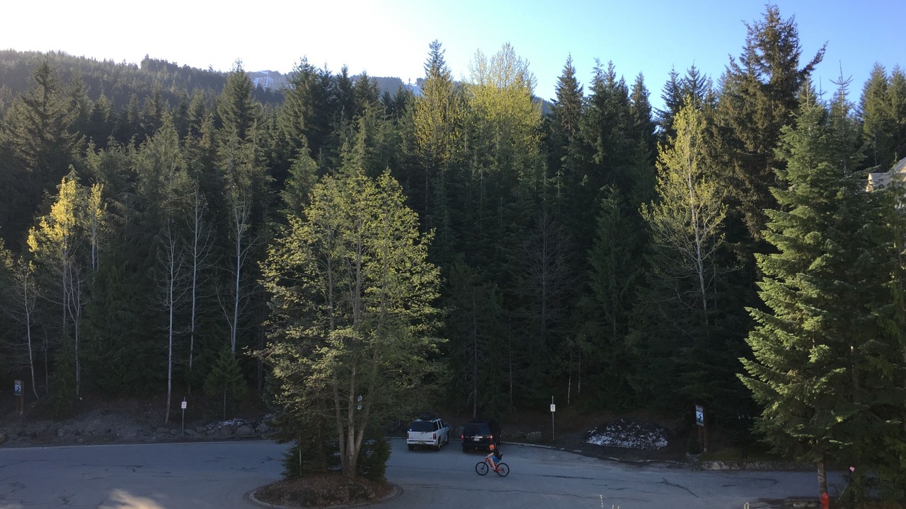 Photo of Others in Upper Village