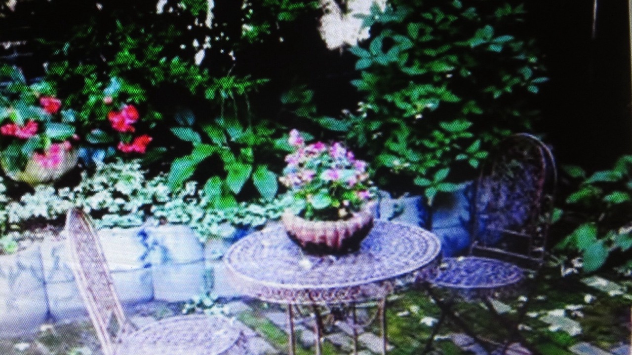 Photo of Outdoor in Cabbagetown