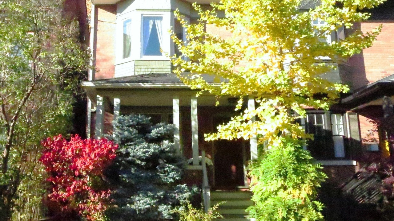 Photo of Others in Cabbagetown