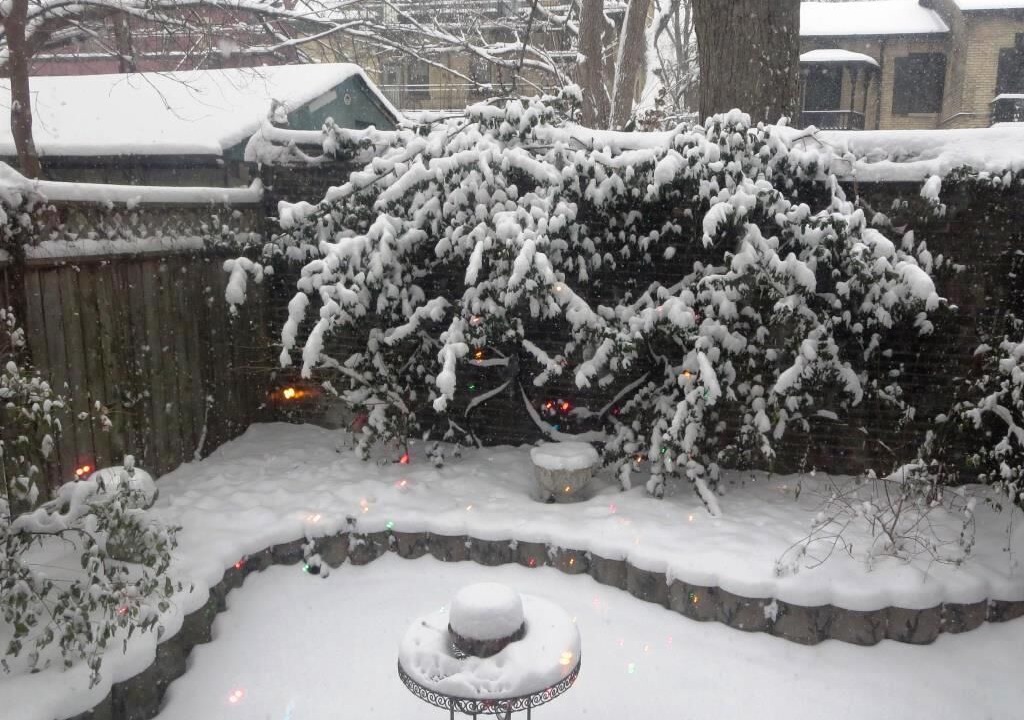 Photo of Outdoor in Cabbagetown